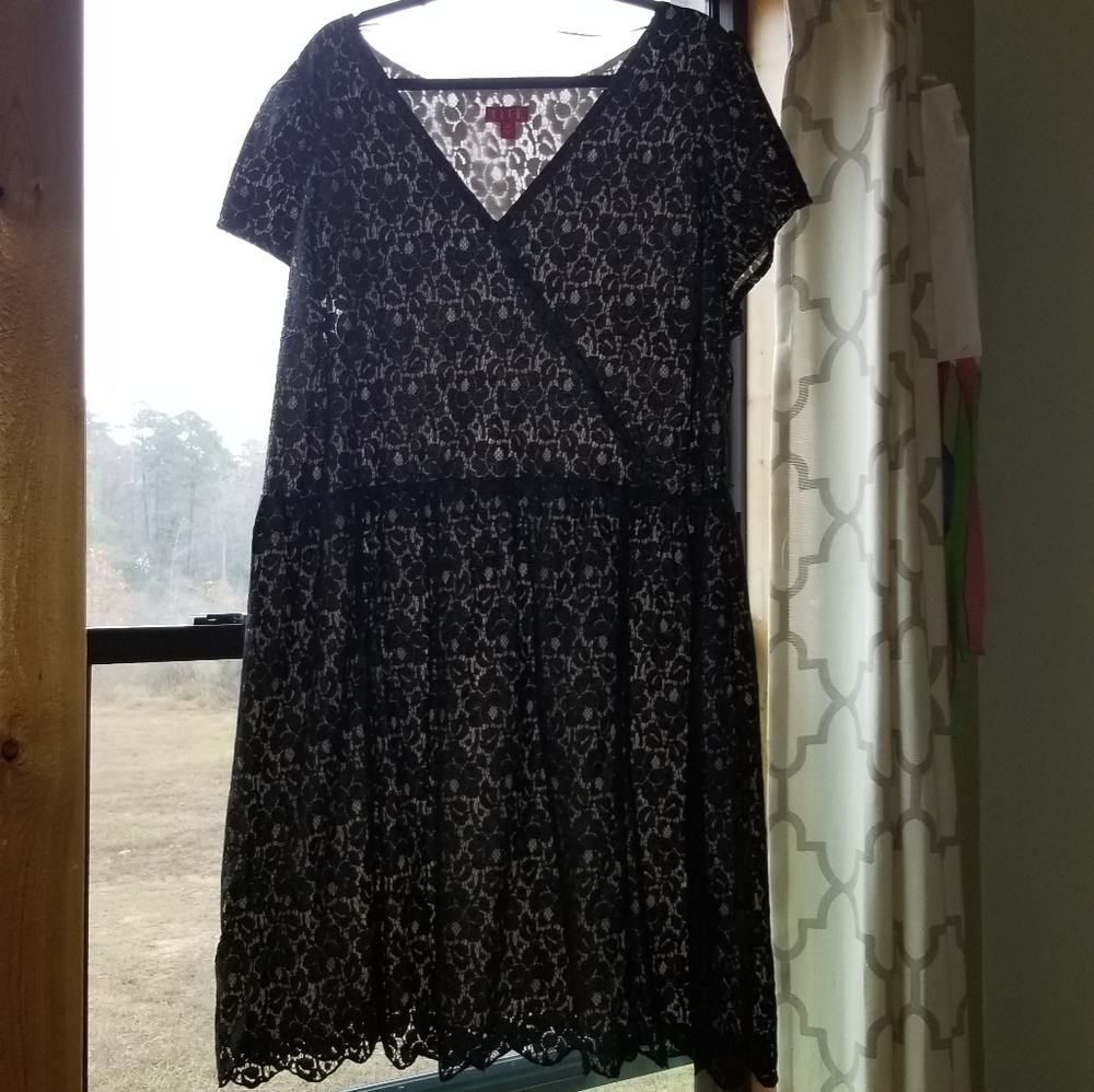 LBD